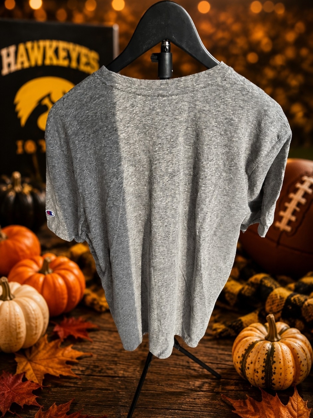 Champion Gray Iowa Hawkeyes Short-Sleeve Logo Tee - Picture 2 of 7